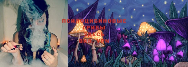 наркотики Новозыбков