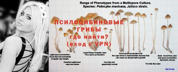 герыч Горнозаводск