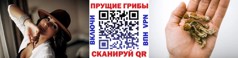 Псилоцибиновые грибы ЛСД  наркошоп  Берёзовский 
